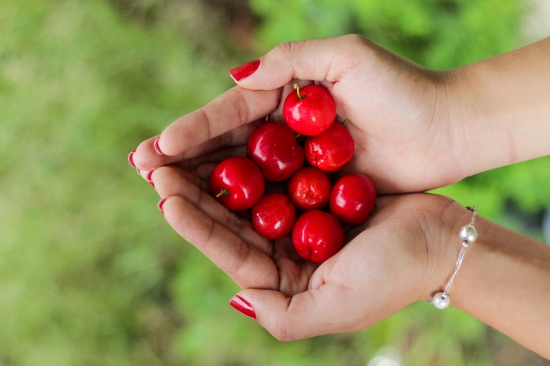 Best Anti-Inflammatory Ingredients For Pain Relief in 2021 Cherries