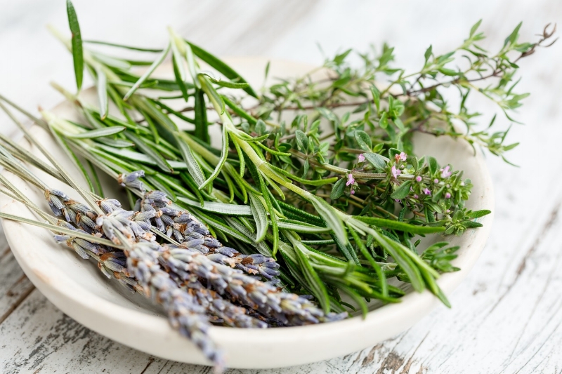 Best Anti-Inflammatory Ingredients For Pain Relief in 2021 rosemary