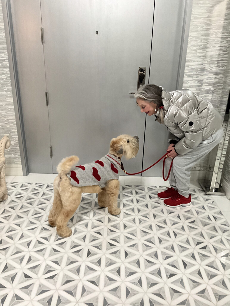 honey good and dog going on walk in easy spirit red walking shoes